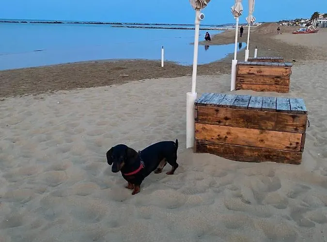 16casadilu Appartamento